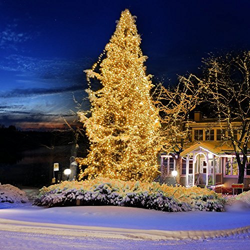 Lichterkette 200er LED TaoTronics warmweiß 20m dimmbare Kupferdraht wasserdicht Sternenlicht außen und innen für Weihnachten Halloween Zimmerdekoration Hochzeit 3 Modi 10 Stufen Helligkeit - 6