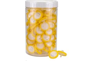 LABFIL 100 Pezzi Nylon Filtri per Siringa, Diametro di 25 mm e Dimensione dei Pori di 0,22 μm, Filtro per Siringa per Laboratorio Scientifico, Biomedicina