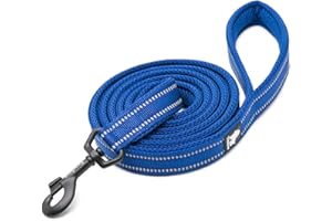 WINHYEPET True Love Chien Laisse Nylon Réfléchissant Poignée Confortable Lead Puppy Training Marche Corde Contrôle Facile Applicable à Toutes Les Races Longueur 110 cm TLL2111(Bleu Royal,M)