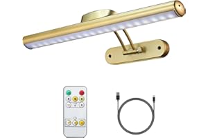 MIOBLUE immagine senza fili con il telecomando, la luce dell'esposizione di arte della batteria Ricaricabile con il telecomando, Dimmerabile/temporizzatore fuori luce della pittura, 3 Modalità di