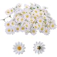 Lot De 100 Fleurs Artificielles Marguerite - Têtes En Tissu Avec Tige Creuse | Pour Déco Mariage, Artisanat