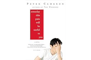 Someday This Pain Will Be Useful to You [Lingua inglese]