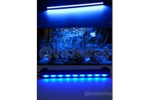 OISE ART STORE Trade Shop - Lampada Immersione LED per Acquario Tubo LED T4 Dee Luce Pesci Bianca RGB Blu Blu 50 Cm -