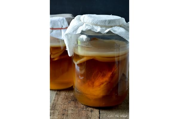 Kombuchaorganic ® certifierad ekologisk potent och stor 24 timmars expressfrakt UKAS LAB testad mogen och kraftfull Kombucha startare Scoby
