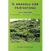 İ&ccedil; Anadolu Step Vejetasyonu