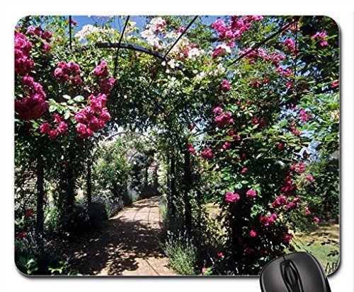 Preisvergleich Produktbild Rose covered pergolas Mouse Pad, Mousepad (Flowers Mouse Pad)