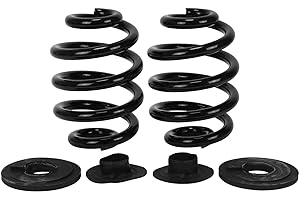CAR-PARTS24 2x verstärkte Federn hinten mit Federunterlagen für T4 TIV T IV bis Achslast Hinterachse 1490 kg Hinterachsfedern Federgummis Federteller