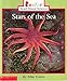 Produktbild Stars of the Sea (Rookie Read-About Science)