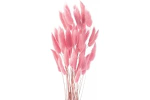 Diyxisk Erba Della Pampas,50 Pezzi Reed Grass,Fiori Secchi Decorativi,Piante Secche,Adatto per Vaso da Tavola per Matrimoni Accessori per Decorazioni per la Casa Soggiorno（Rosa）