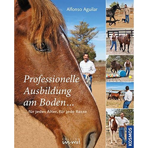 Professionelle Ausbildung am Boden: für jedes Alter, für jede Rasse