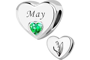 ZakiaHo Birthstone Charms for Bracelets Heart Birth Month Flower Birthday Gifts for Women Compatible with Pandora Charms Bracelets