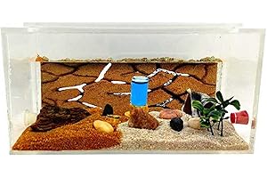 ANTHILLSHOP -Hormiguero de Arena Natural acrílico 1- Con hormigas incluidas┃de 20-30 hormigas.
