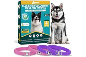 YOTANGO Flea Collar for Dogs, 4 Pack Dog Flea Collars, 32 Months Flea Treatment for Dogs, Natural Dog Flea Collar, Water Resistant Adjustable Flea and Tick Treatment Collar for Large Small Dogs-Purple&Pink