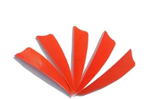 ‎SHARROW SHARROW 50 Stück Bogenschießen Naturfedern Pfeilfedern 3 Zoll Feder für Pfeil Fletching