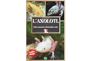 L'axolotl: Guide complet pour débutants sur la salamandre la plus spéciale - Achat, aquarium, soins, alimentation, entretien, maladies, tout ce qu'il faut savoir sur le chien d'eau du Mexique