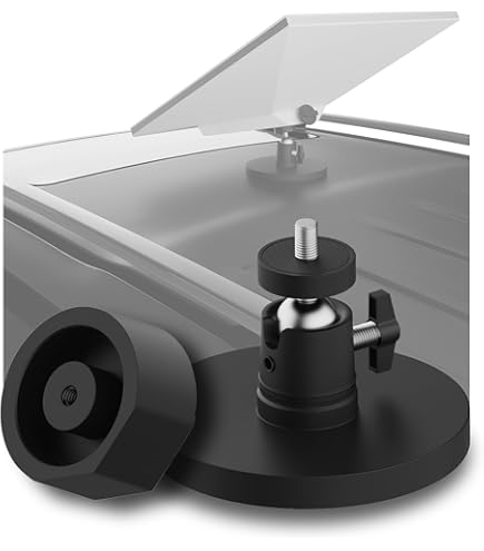 Magnetische