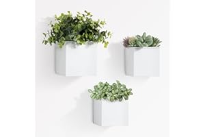 BOFUNX 3Pcs Wall Mounted Flower Pots, 3 Sizes Metal Wall Planter Hanging Flower Pots Wall Plant Container for Home Wall Decoration