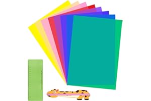 MOOSHY 10PCS Dyslexia Overlays Professional A4 Reading Overlays with Reading Strips Reading Ruler for Reading Aids Dyslexia Coloured Overlays for ADHD Visual Stress Irlens Syndrome