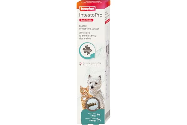 BEAPHAR – IntestoPro – Complément Alimentaire pour améliorer la consistance des selles – Favorise la Digestion – Ingrédient Actif d'origine Naturelle - pour Chats et Petits Chiens (1 – 15 kg) - 20 ML