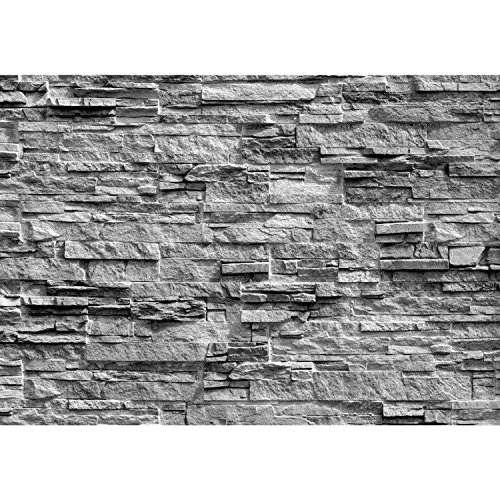Fototapete Steinwand 308 x 220 cm – Vliestapete – Wandtapete – Vlies Phototapete – Wand – Wandbilder XXL – !!! 100% MADE IN GERMANY !!! Runa Tapete 9082010c - 6