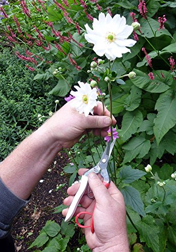 Okatsune 304 Blumenschere mit langer Klinge - 3