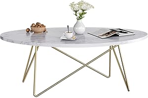 FirFurd 120cm Mesa de Centro para Salón de Efecto Mármol, Mesa Auxiliar Salón Ovalada, Mesa Baja Salón, con Patas de Metal, Moderno, Grande, 120x60x41cm