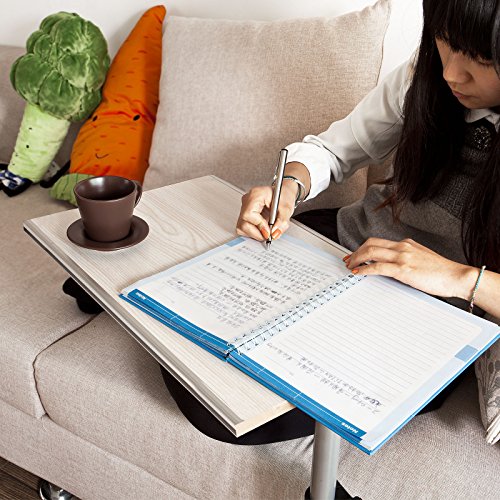 SoBuy® Pflegetisch Betttisch Klapptisch Laptoptisch Beistelltisch FBT07N-W - 3