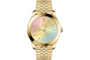 ICE-WATCH - Ice Steel Solar - Montre pour Femme avec Bracelet en Metal (Small)