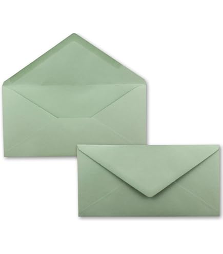 Siumir Enveloppen, 100 enveloppen, formaat lang, 220 x 110 mm, sterk papier 120 g/m² - enveloppen in kraftbruine enveloppen - stabiel - zonder venster - voor documenten, uitnodigingen