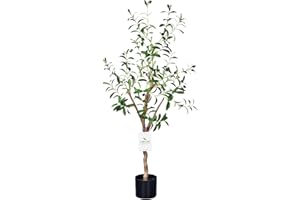 Leflos 120cm Olivo Realista de para Interior, sólo para Interior, con Tronco Vivo, Rama Ajustable y Aceitunas gordas, 1 Pieza