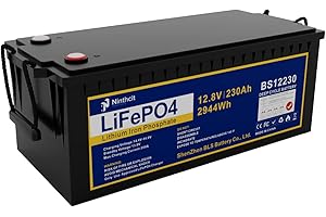 ‎NINTHCIT LiFePO4 12.8V 230Ah LiFePO4 wiederaufladbare Lithiumbatterie 230Ah, 8000 Zyklen Max. 2944Wh Ausgang LiFePO4 Batterie für Wohnmobile, Camping, Solars, Off-Output Grid