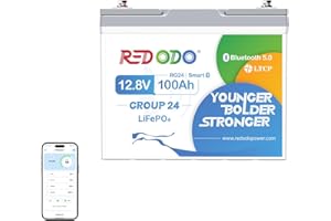 Redodo Bluetooth Batteria LiFePO4 12V 100Ah Group24,Batteria Litio con Protezione BMS 100A Migliorate per l'Arresto in Caso di Basse Temperature,Petite Batterie LiFePO4 per Auto da Campeggio