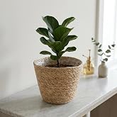 Deconox 1 Adet 28 cm Hasır Saksılık, İ&ccedil; Koruma Poşetli El &Ouml;rmesi Dekoratif Saksı Sepeti ve Saksı Kılıfı, 28 cm &Ccedil;ap &times; 22 cm Y&uuml;