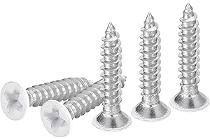 DTGN 25Pcs ST3x15mm Flat Head Wood Screws, 304 Stainless Steel White Phillips Self Tapping Screws - Good for Woodworking, Furniture - White