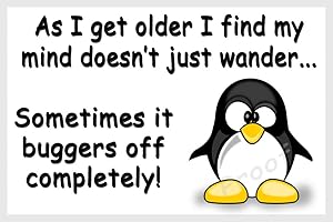 COUNTRYSTYLE GIFTS Penguin Funny Flexible Fridge Magnet Gift - As I get older
