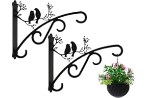 Qktxktzy Hanging Basket Brackets Outdoor Indoor, Large Plant Brackets with Wall Mounted Solid Steel Hooks for Lantern/Light/Bird Feeder, 2 Pcs Garden Hangers 8 inch