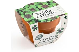 Radis et Capucine - Mini kit de culture - Trèfle 4 feuilles - 6cm