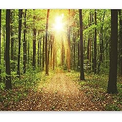 murando Fotomurales 200x140 cm XXL Papel pintado tejido no tejido Decoración de Pared decorativos Murales moderna de Diseno Fotográfico naturaleza paisaje bosque c-B-0076-a-b