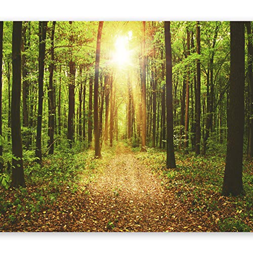 murando Fotomurales 200x140 cm XXL Papel pintado tejido no tejido Decoración de Pared decorativos Murales moderna de Diseno Fotográfico naturaleza paisaje bosque c-B-0076-a-b