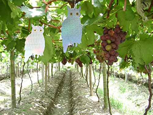 Neibo Vogelscheuche, Vogelschreck, Doppelseitig reflektierendes Vogelabwehr-Eule zur Abwehr von Vögeln, Rehen und anderen lästigen Tieren (2Stück) - 7