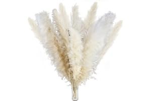 LIPJISL 10 Pcs 115cm Getrocknete Pampasgras Pflanzen Natürliche Getrocknet Pflanzen Deko Groß Pampasgras Trockenblumen Deko für Fotografie Hochzeit Party Hause Vase Dekoration Weiß