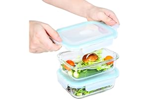 ERUIV-Contenitore Vetro Con Coperchio-2 pezzi(2 contenitori e 2 coperchi,640 ml ciascuno,In omaggio regalo 1 spugna per la pulizia) Senza BPA impilabile Frigoverre Contenitori In Vetro Per Alimenti