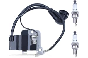 Gubeter Equipo de la bujía de la Bobina de Encendido, para Honda Gx35 Umk435, 30500Z0Z013