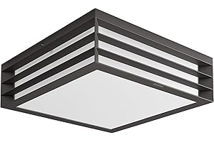 PHILIPS LIGHTING Philips myGarden Moonshine Pendant Ceiling Bulb, 14 W