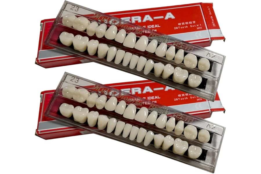 56 Pcs False Teeth Dental Complete Acrylic Resin Denture Teeth, 2 Set Whole Teeth Synthetic Polymer Denture Tooth, 23 Shade A2 Upper + Lower Dental Materials for Replacement, DIY, or Halloween (23 A2)