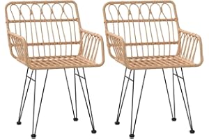 vidaXL Chaises de Jardin 2 pcs et accoudoir 56x64x80 cm Résine tressée, Chaise à dîner, siège de Salle à Manger, Chaise de Patio