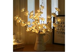 Winnes Rami luminosi a LED, decorazione per feste e Natale Lampada da parete a LED,a 20 LED a luce ricaricabile addebitata per la decorazione della stanza domestica (bianco 3 pezzi)