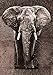 Produktbild Eurographics FAS-FRF3126 Fashion Art Strass - Strass Elephant 65 x 92,5 cm