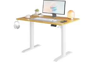 SKY-TOUCH Standing Desk Height Adjustable Desk, Electric Lifting Table, Motion Desk with Smart Control Panel & 2 Memory Presets, 2-Piece Wood Desktop Workstation for Home Office - 120×60cm