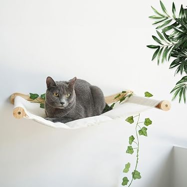 Am häufigsten geschenkt: Die beliebtesten Artikel, die in Katzenhängematten als Geschenk bestellt werden